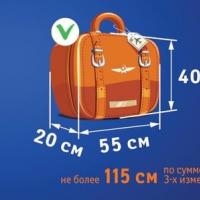 Carriage of baggage and hand luggage by Aeroflot