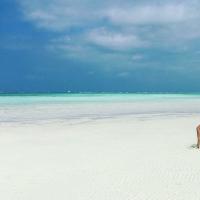 Holidays on the beaches of Zanzibar - the best bays, beaches and recreation areas